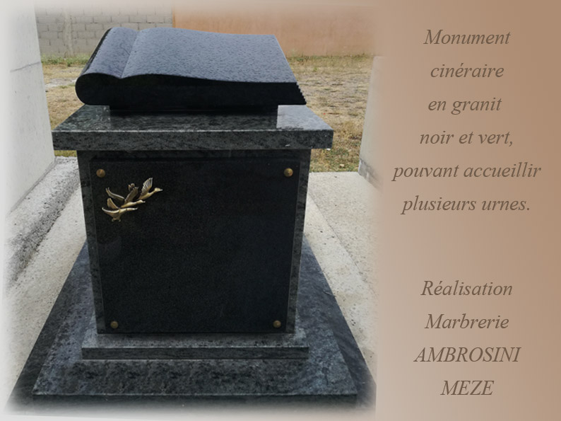 Photo n° 8